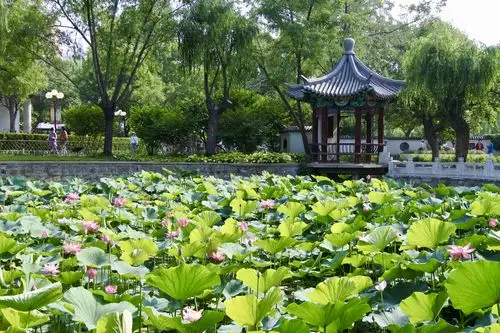 天津人民公园四季美景(上)