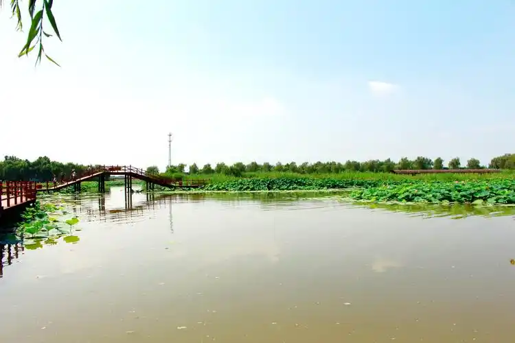 河北 保定 雄安新区 白洋淀