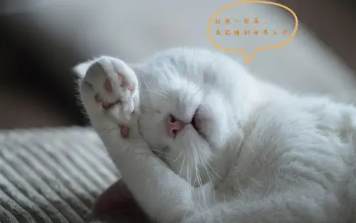 很困想睡觉的个性说说配图