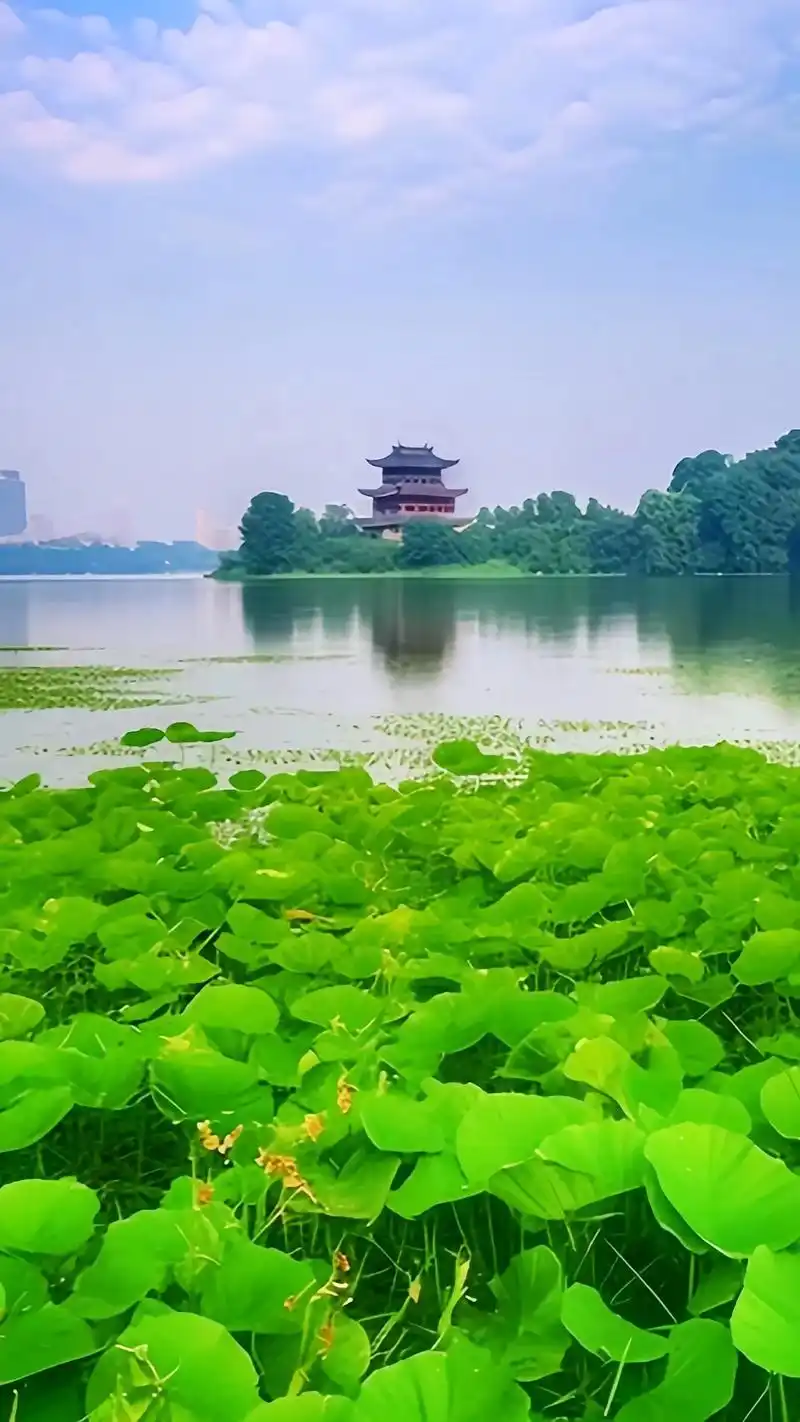 西湖美景.杭州西湖夏日晨景,蓝天白云朵朵下面高高的 雷锋塔, - 抖音