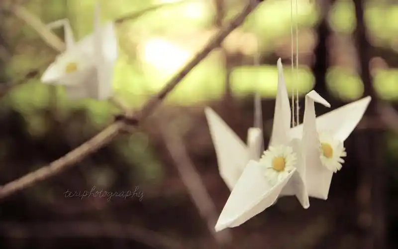 五彩千纸鹤非主流唯美治愈系小清新图片电脑桌面壁纸