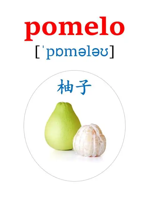 水果英语常见单词大全100个(英语卡片来了!20多种水果的英语单词!