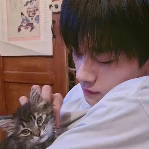 易烊千玺头像集2⃣