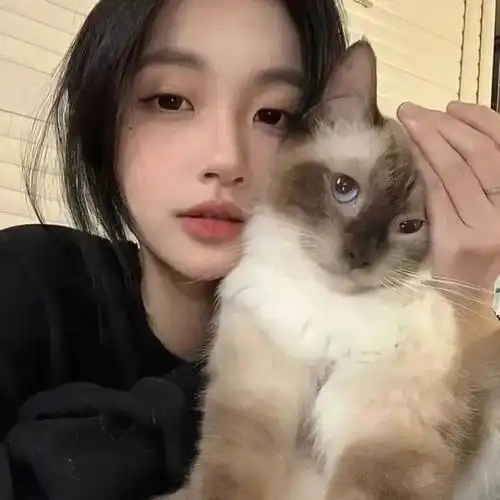 1016对象不是人系列情头