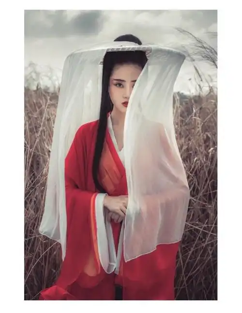 侠女古装女侠客风汉服红色红颜侠服魏晋风仙气飘逸中国风汉素大袖衫笠