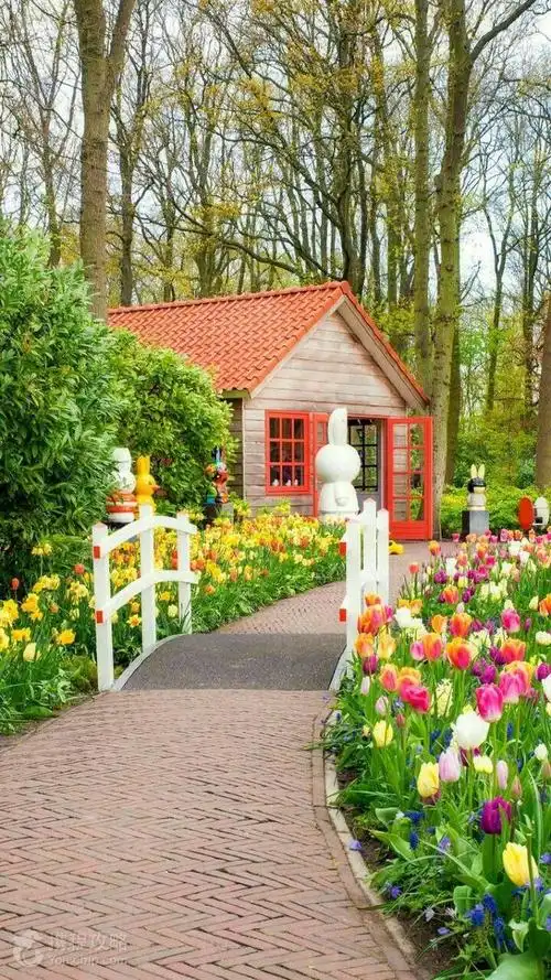 鲜花王国荷兰的一个公园 都说这里风景如画 有人知道这是哪里吗?