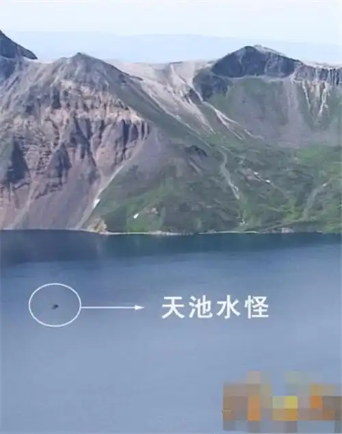 长白山天池水怪抓住了,竟是长达数十米的怪物,惊悚其丑无比_水面_生物