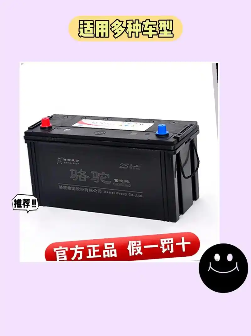 12v100ah免维护电瓶94.我的新 - 抖音