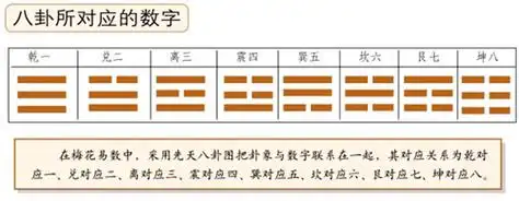 八卦所对应的数字