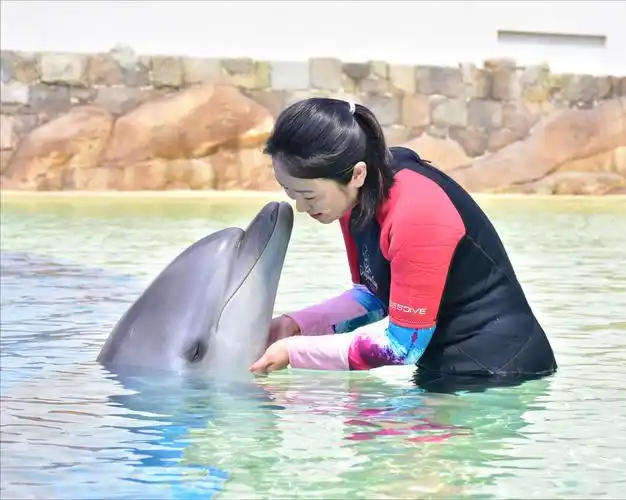 小海豚是个女生,她6岁啦!