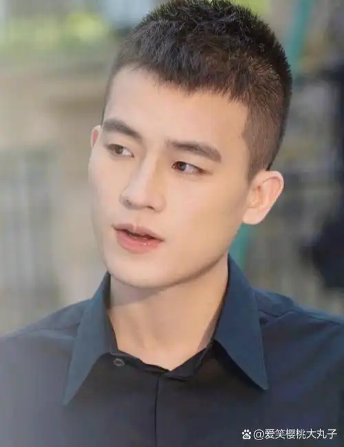 帅气的欧豪图集