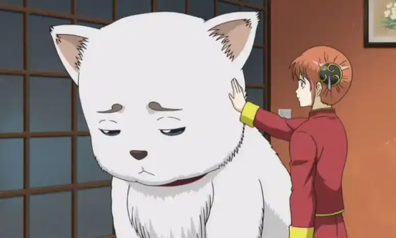 第1名:定春——《银魂》