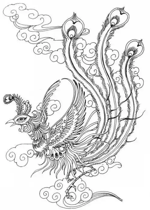 素材| 一组凤凰白描图谱46图 富贵吉祥_龙凤_象征_中华