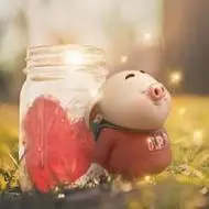 唯美猪头像可爱图片超多好看的唯美猪头像可爱图片大全