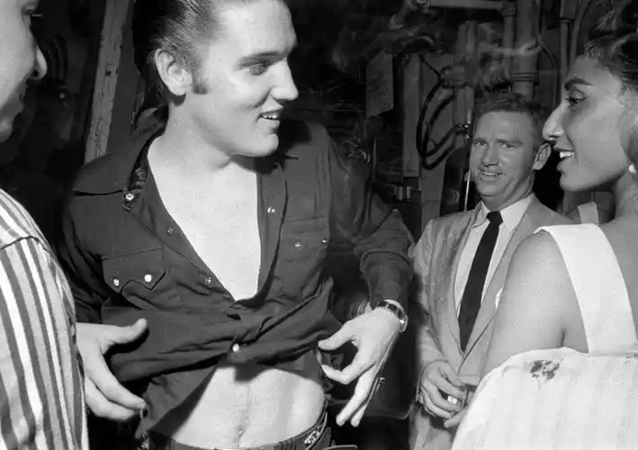 "猫王"最初也是最终的一瞥