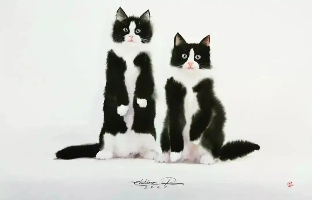 水彩动物手绘,非常可爱的猫咪