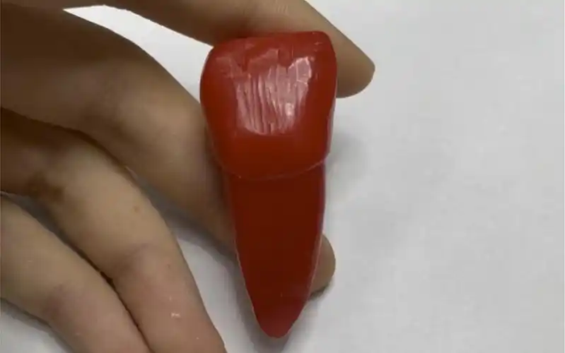 第一次雕牙——上颌中切牙_哔哩哔哩_bilibili