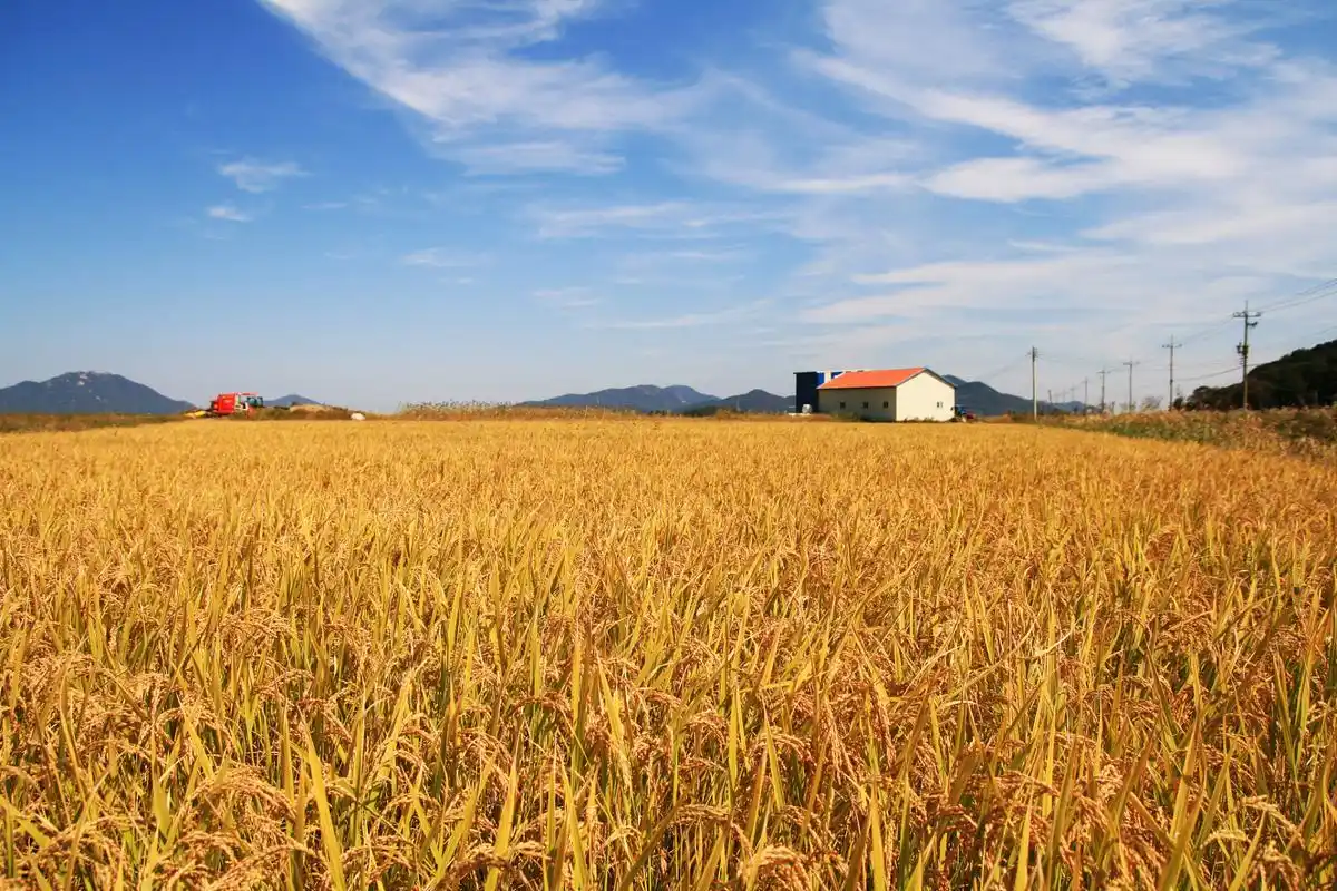秋天的景色还有很多.