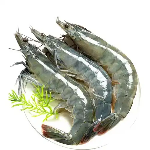 海水大虾鲜活海鲜超大青岛海虾冷冻白虾冻虾商用整箱批发基围虾