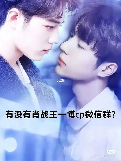 求肖战王一博cp微信群
