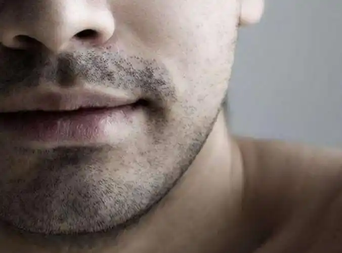 胡子33种类型图片大全(男性进化出胡须) - 赤虎壹号