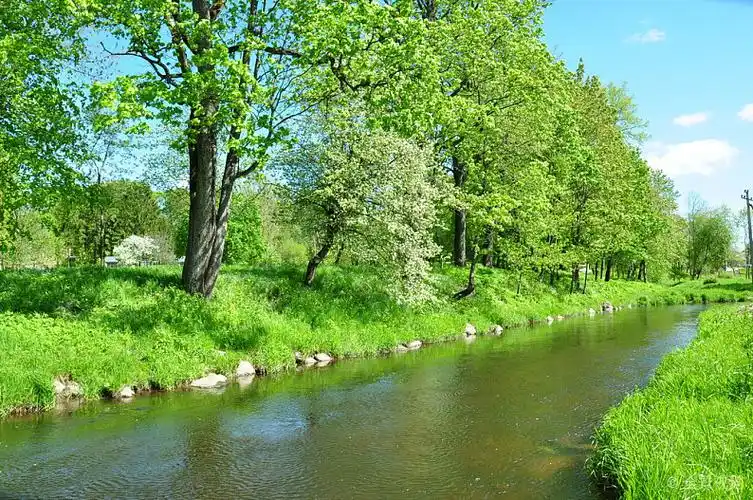 户外_小河_晴朗_春天_白天_自然_草_高清图片_全景视觉