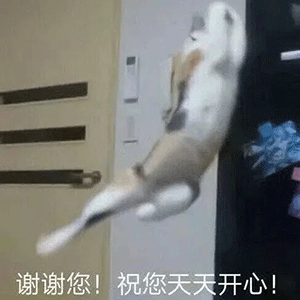 【表情包】沙雕表情包