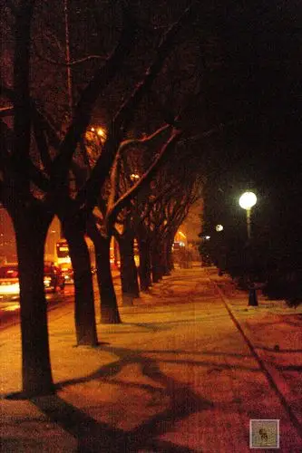 【原创】深夜的街景