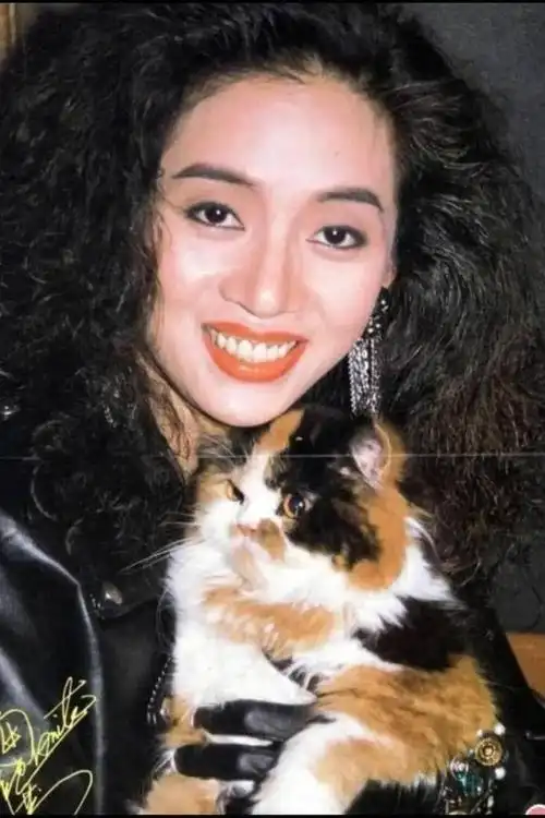 黄霑|倪匡|梅艳芳|刘嘉玲_网易订阅