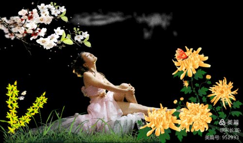 黑色背景动态图(1)