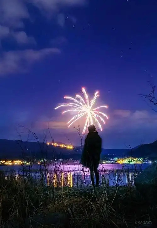 求一张一个人夜晚雨天在红绿灯的图片