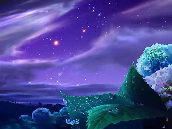 浪漫星空情侣桌面壁纸大全