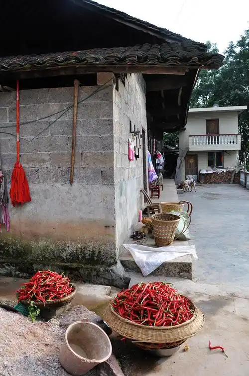 【金秋时节乡村游摄影图片】湘西保靖农村纪实摄影_太平洋电脑网摄影
