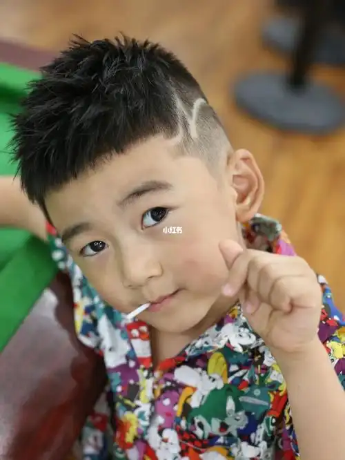 小男孩毛寸头发型小男孩毛寸发型也是很多家长比较青睐的,周边选择用