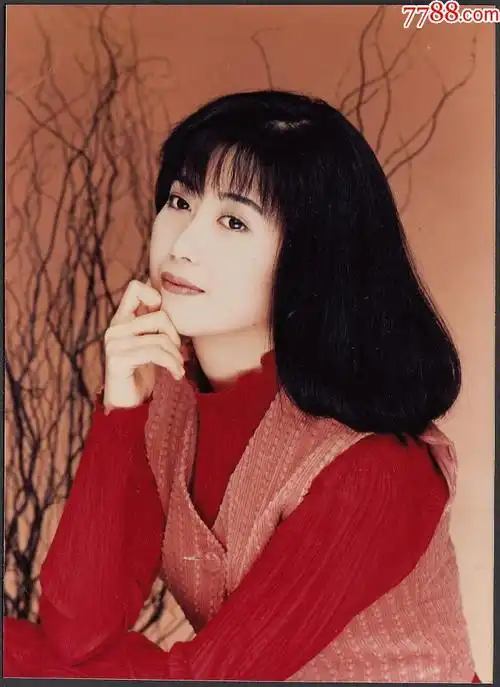 中国台湾著名歌星孟庭苇