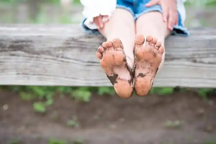 教案上新森林学校赤脚教案来了每个脚印都是冒险的勋章