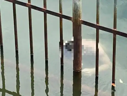 悲剧!坎山水库又出事了!一男子溺水而亡,愿悲剧不再重演_游泳