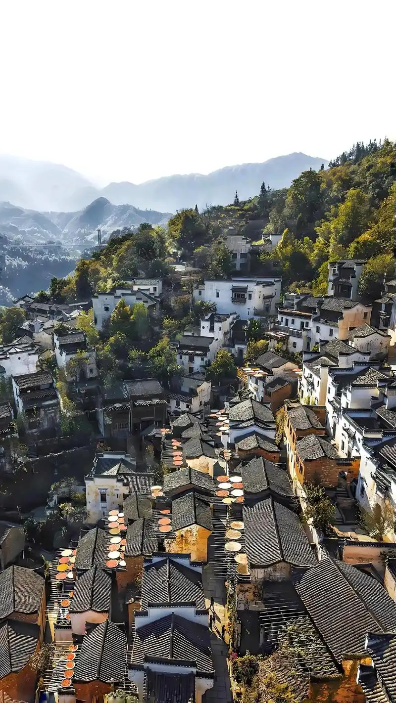 婺源,一个神明遗落在人间的宝物,倾洒了一地的温柔.总要去一趟婺源吧!