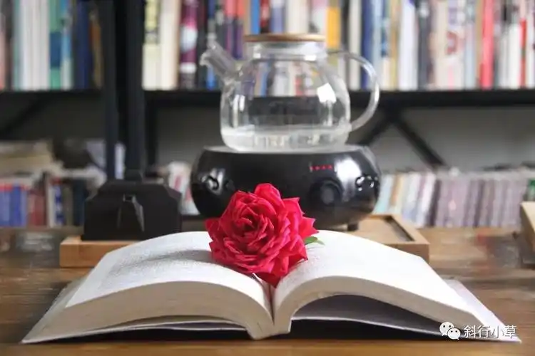 的,我们所追求的那种"一桌,一椅,一书,一支笔,一杯茶"的那种清淡自然