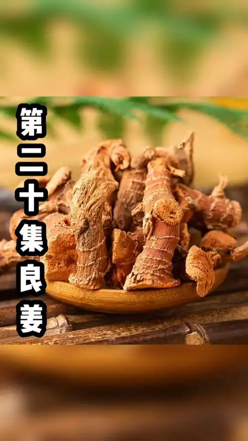 第二十集良姜良姜在卤水中主要起什么作用