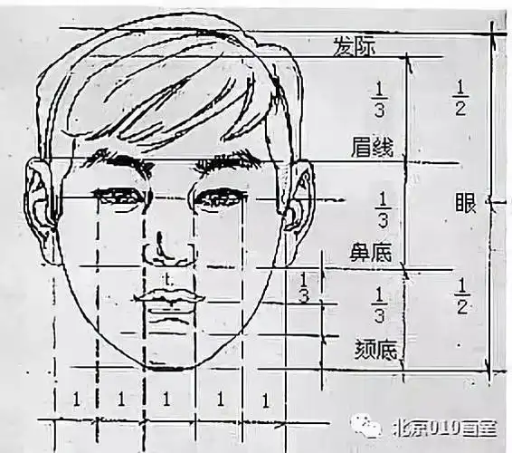 速写五官的详细解析