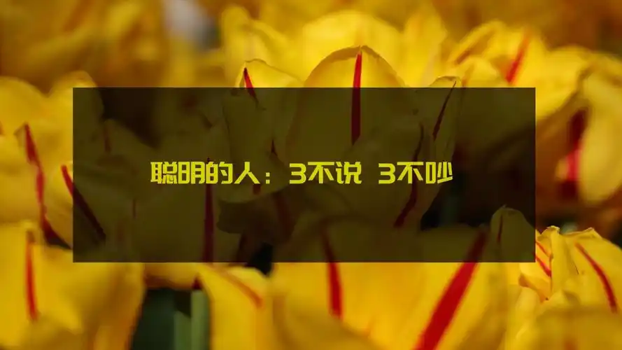 说话是本能,闭嘴才是本事,睿智的人3不说3不吵