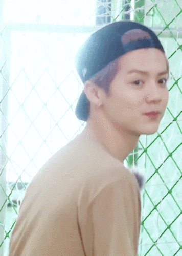 震惊知名艺人鹿晗竟然有屁股有些虎狼之词不知当讲不当讲