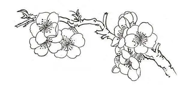 杏花简笔画简单