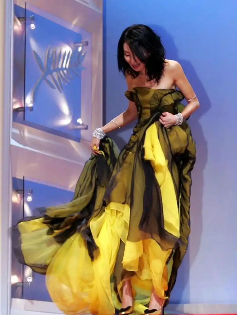 2007年,张曼玉在戛纳电影节最闪耀的一年 789478 2004年凭借