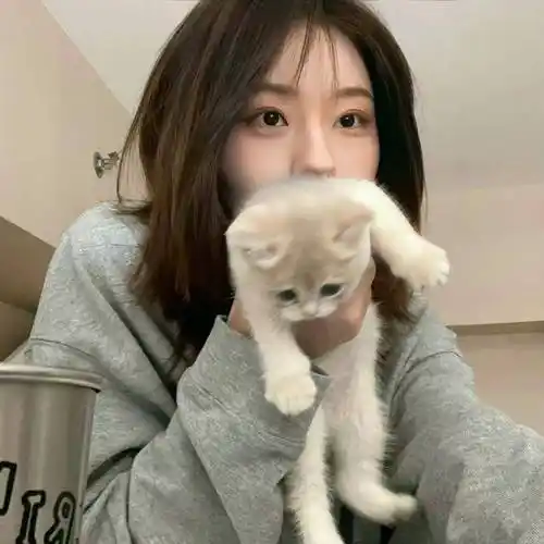 头像| 高质量ins头像直接封神