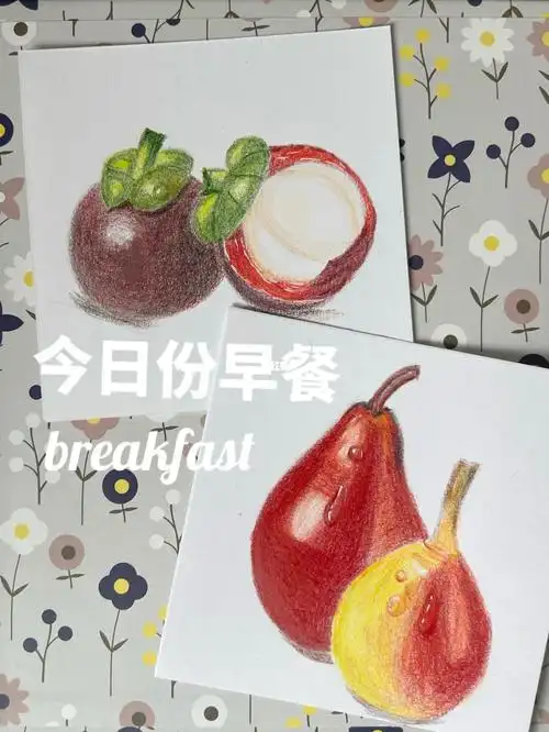 彩铅新手教程山竹美食绘画分享