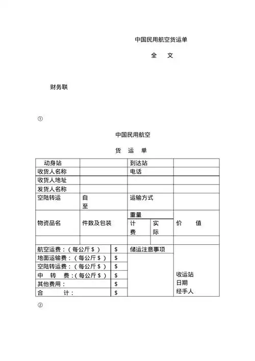 财务联民用航空货运单表
