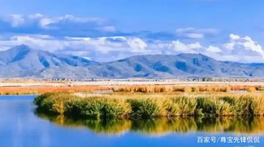 蒙面唱将可可托海的牧羊人是哪位歌手