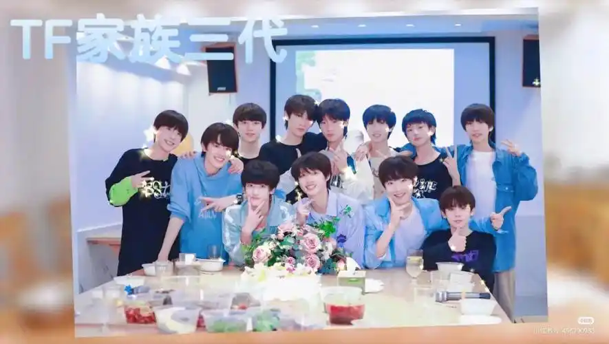 tf家族三代全部出道